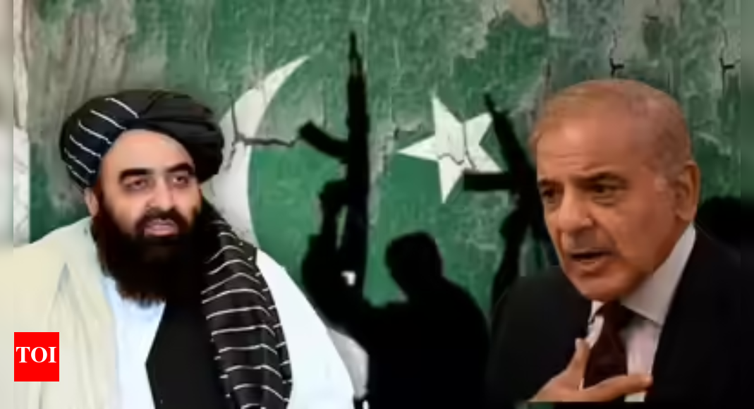 Pakistan fumes as Taliban back India’s sovereignty over J&K