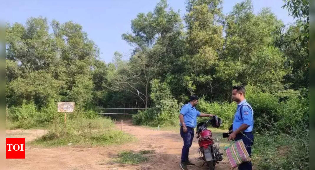 Tripura horror: 14-month-old 'raped and murdered' in Panisagar