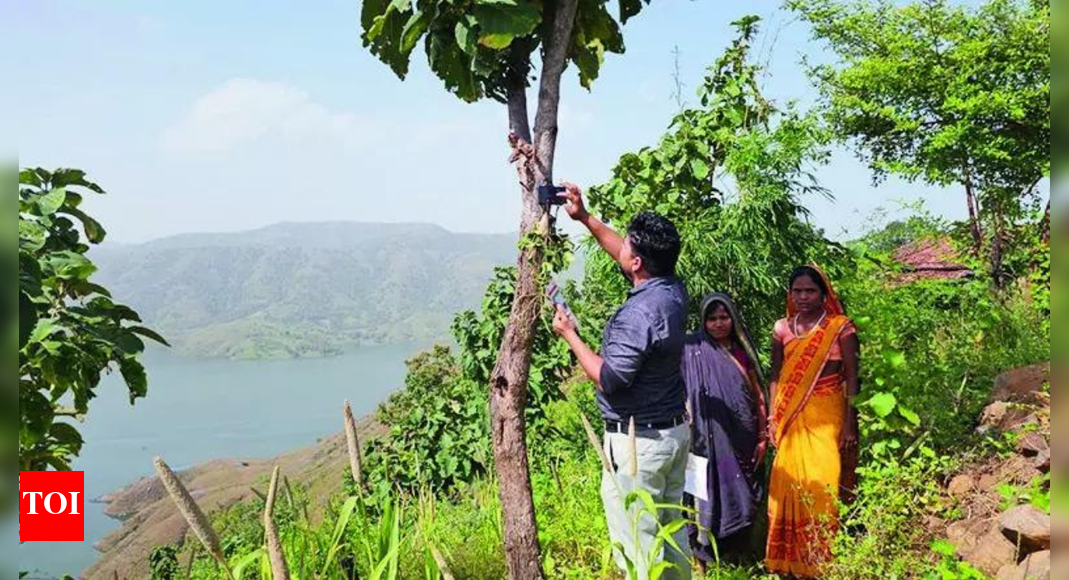 Welfare hangs in balance: Tribal women tie phones to trees for Ladkhi Bahin OTP