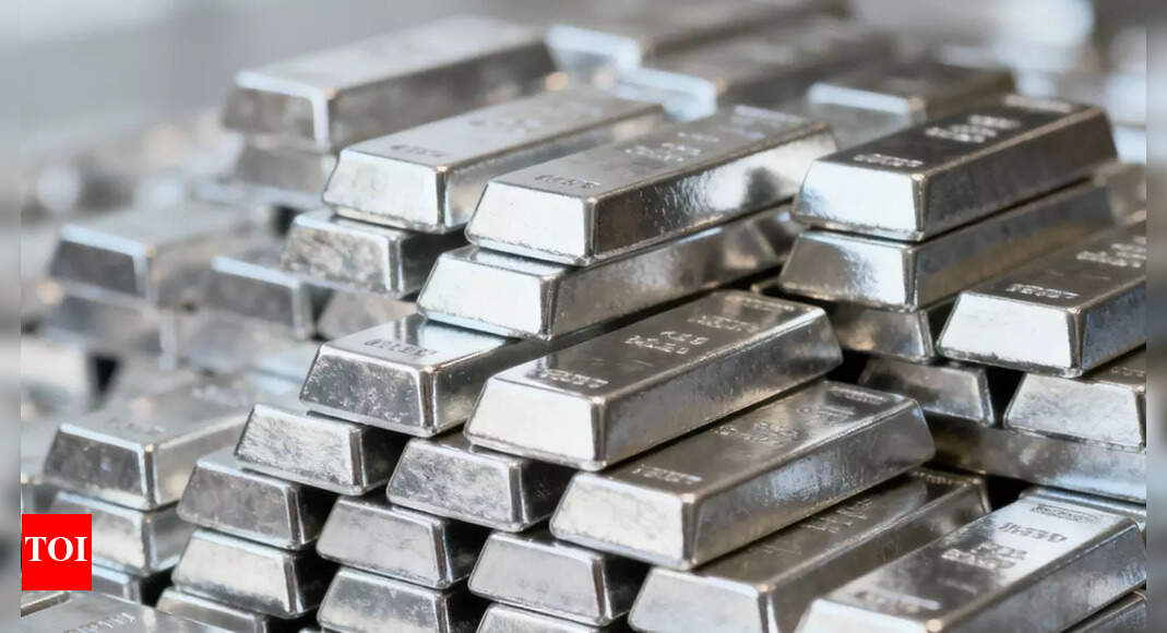 ‘Biggest crash in history coming’: Rich Dad Poor Dad author's warning; recommends buying silver