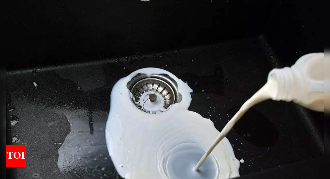 Why you should never pour milk down the sink: Environmental and plumbing risks explained