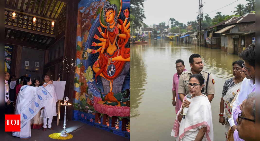 Rs 65,000-crore jamboree: Why Bengal didn’t cancel Durga Puja’s closing act; even as floods raged up north