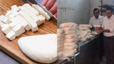  5 non-dairy paneer alternatives to try
