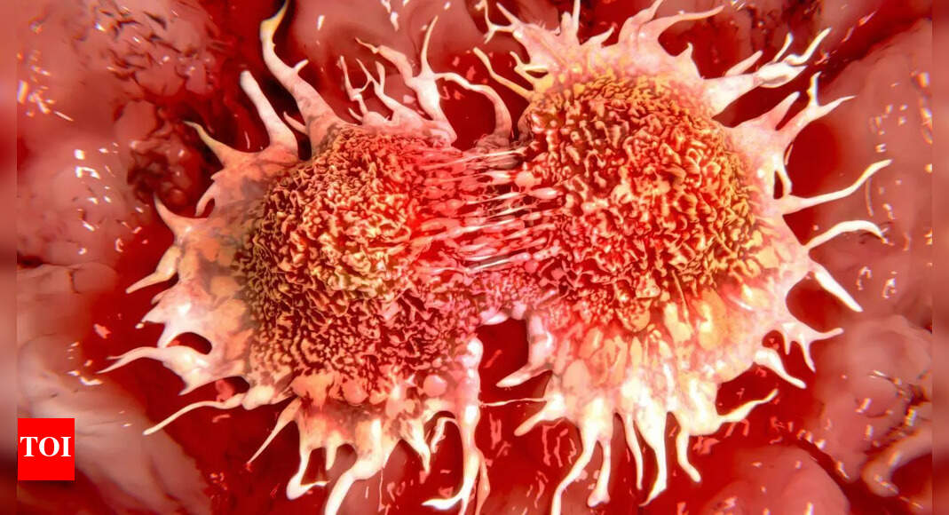 Cancer treatment breakthrough: ‘Super vaccine’ stops cancer before it starts, study finds |