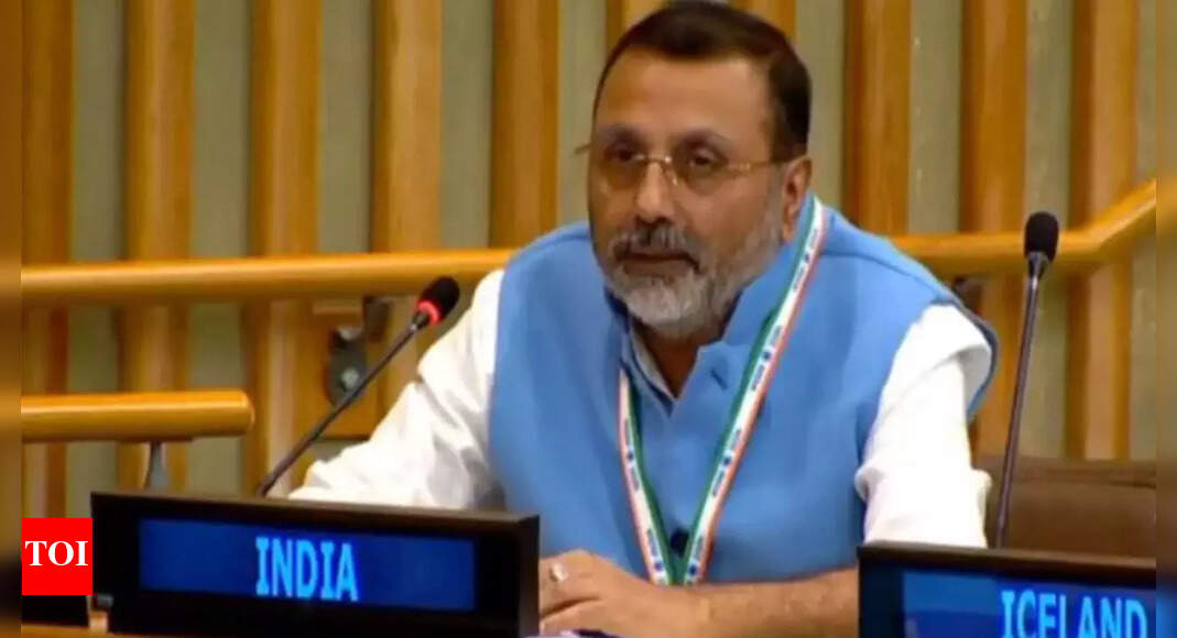 <div>'Worst violator': India slams 'highly hypocritical' Pakistan at UN; calls out killings in Afghanistan</div>