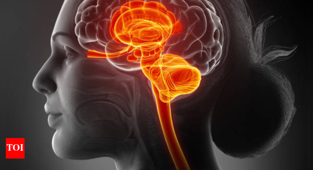 What happens to a woman's brain after sexual assault