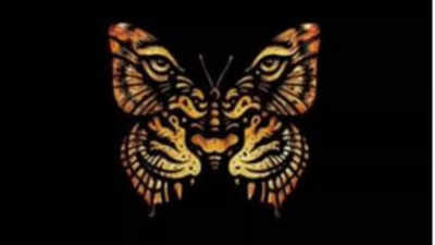  Tiger/ lion or butterfly? See what you spot first and discover if you’re a leader or family-oriented person