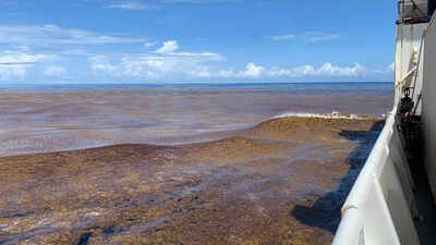 The bizarre 8,850 km phenomenon in the Atlantic that keeps expanding