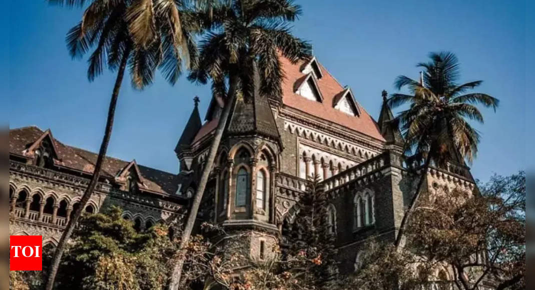 Roads not safe: State must pay Rs 6L for pothole, manhole deaths, rules Bombay HC