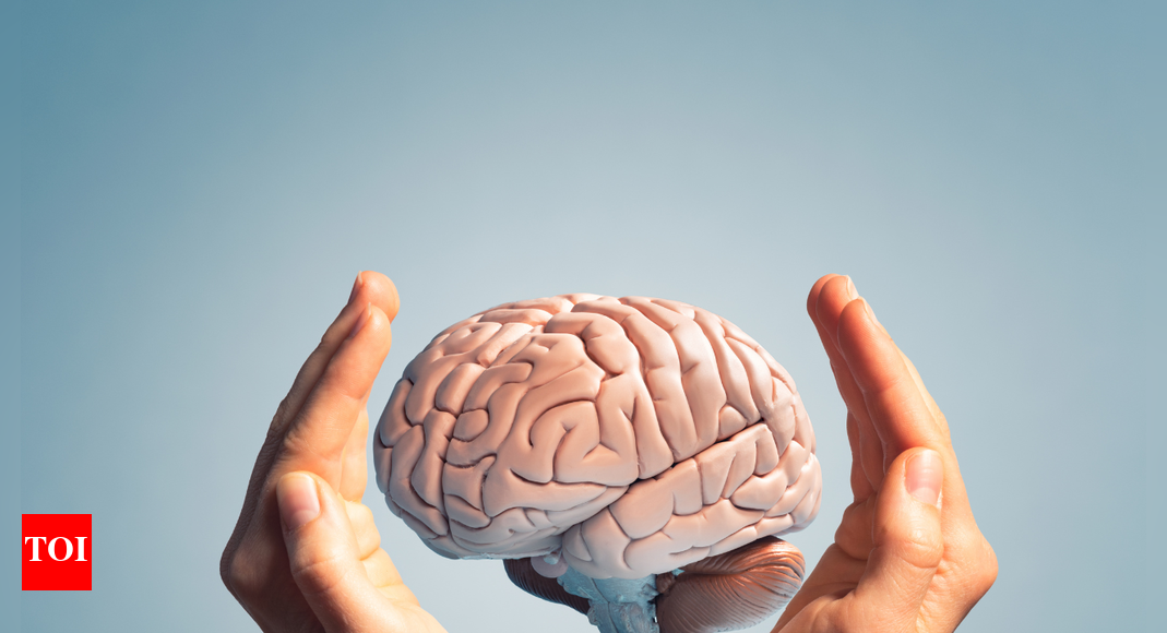 Land(s) of sharp minds: Top 10 countries with the highest IQ in the world