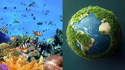  Coral reefs now at risk of collapse