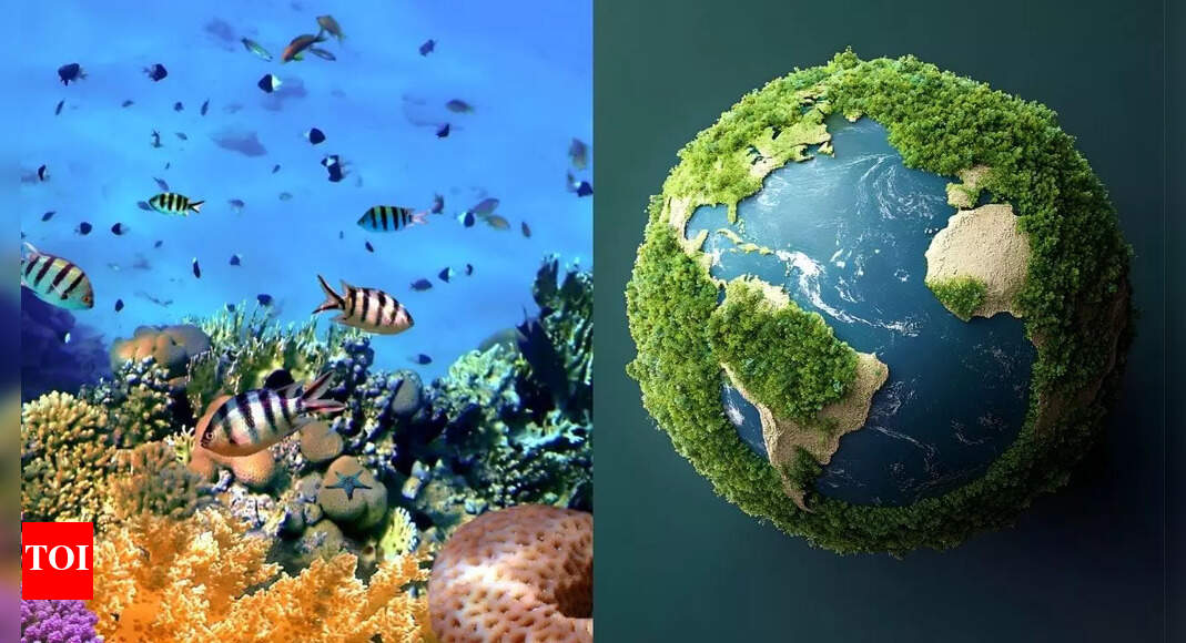 Earth hits first climate tipping point as coral reefs face irreversible collapse