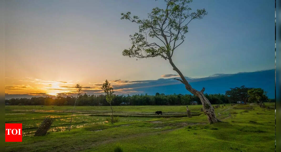 This city has become India’s hottest travel destination for 2026, surpassing Phuket, Berlin