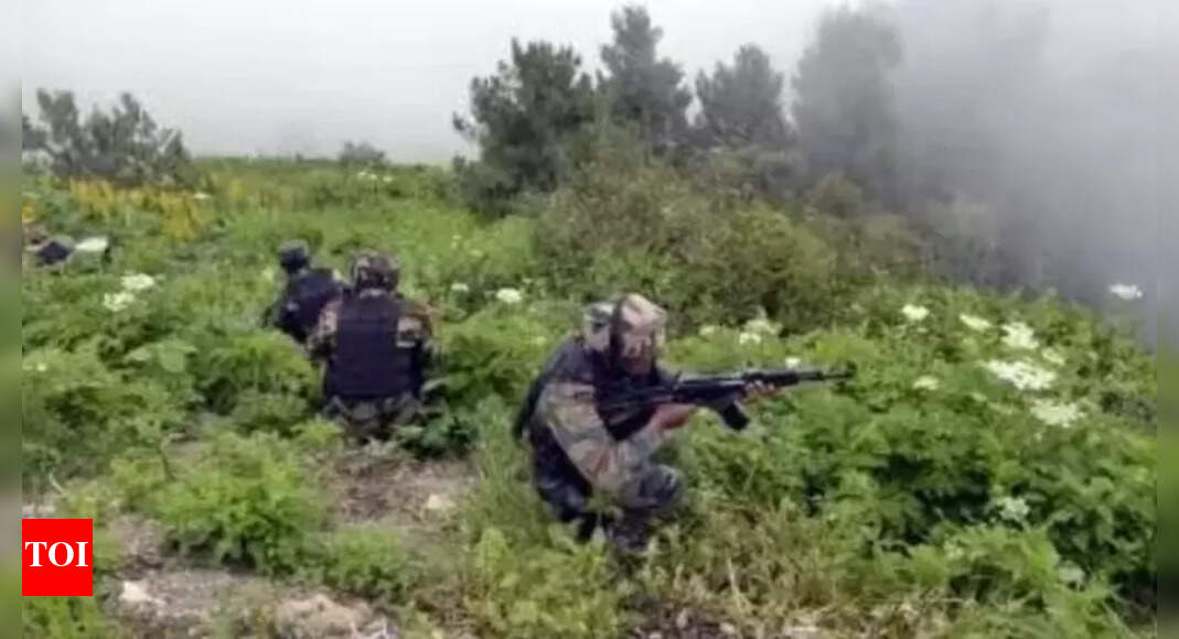 LoC: Security forces foil infiltration bid in Kupwara; two terrorists gunned down