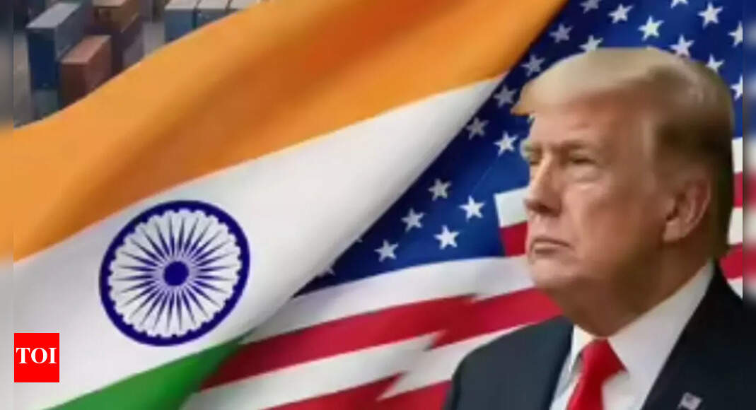 Rare earth curbs: US calls India key ally in 'China vs world' battle; seeks 'support' - The Times of India