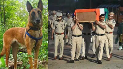 Chhattisgarh: CRPF dog ‘Susan’ dies on duty during anti-Maoist ops in Sukma; troops bid farewell with military honours