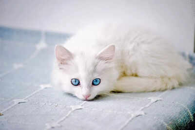 Testing DAM Events-edit Testing DAM Events-edit
