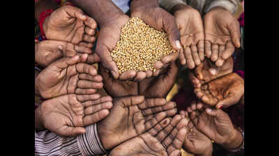  Social scientists call for reducing wastage to enhance food security