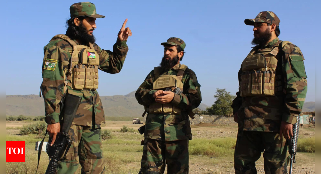 Battle on multiple fronts: Pakistan faces its ‘deadliest years’ in a decade - why it’s losing against the ‘Quad of Terror’