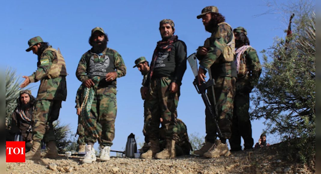Pakistan, Afghanistan declare 48-hour ceasefire: Dozens killed in border clashes - who asked for truce first? Pakistan, Afghanistan declare 48-hour ceasefire: Dozens killed in border clashes - who asked for truce first?
