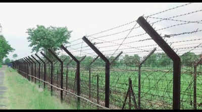 Assam's Cachar district clamps night ban along Indo-Bangla border