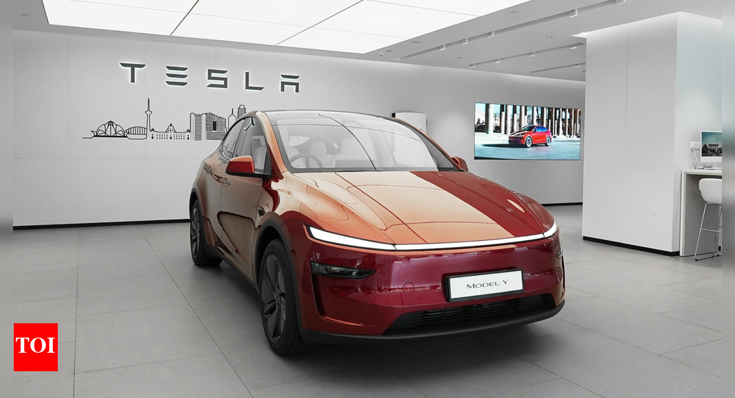 China crackdown: China may ban Tesla’s hallmark design; targets key feature
