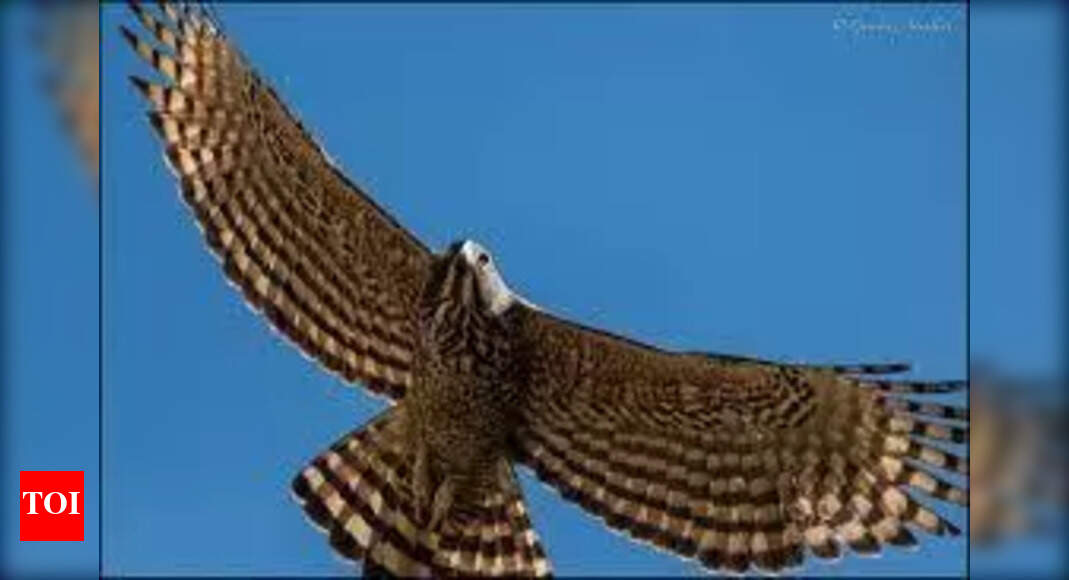 Abtak.com - Other - News Image