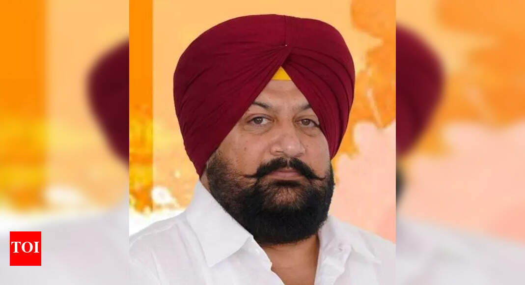 The Times of India - Politics - News Image