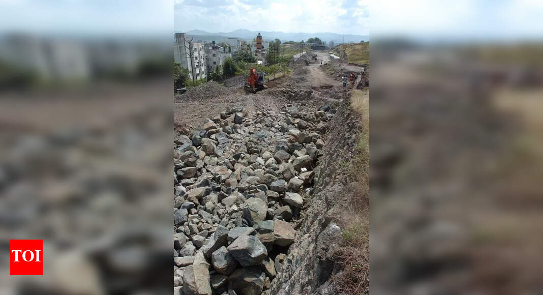 The Times of India - Politics - News Image