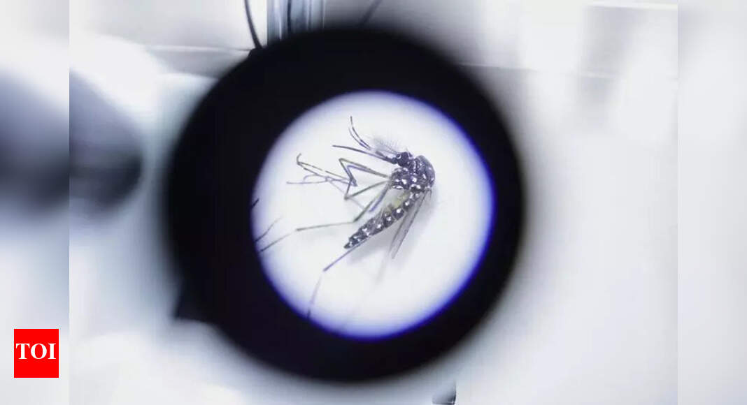 The Times of India - Health - News Image