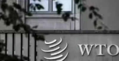 China files plaint against India at WTO over EV sops