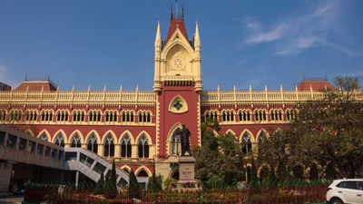 Evaluate parents' psyche before child custody decision: Calcutta HC norms