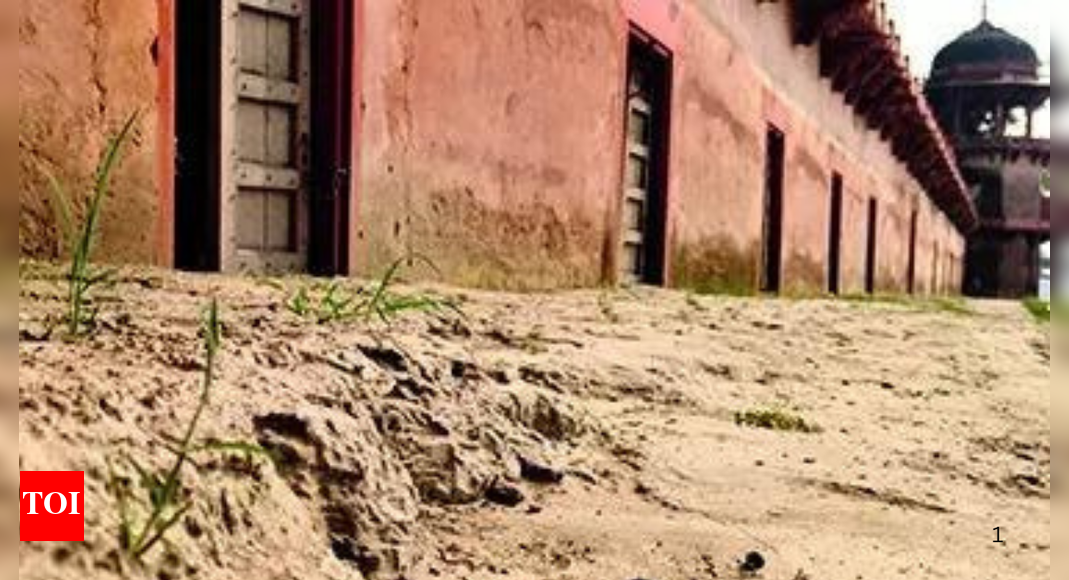 Yamuna flood leaves foot-deep silt in 400-year-old chambers of Agra’s ‘Baby Taj’; ASI to start cleanup this month