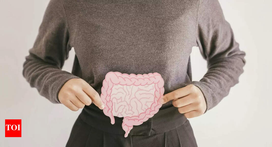 Your gut can increase the risk of type 2 diabetes: Understanding the surprising link between gut health and blood sugar control |
