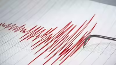  4.9-magnitude tremor strikes western region; felt in nearby areas