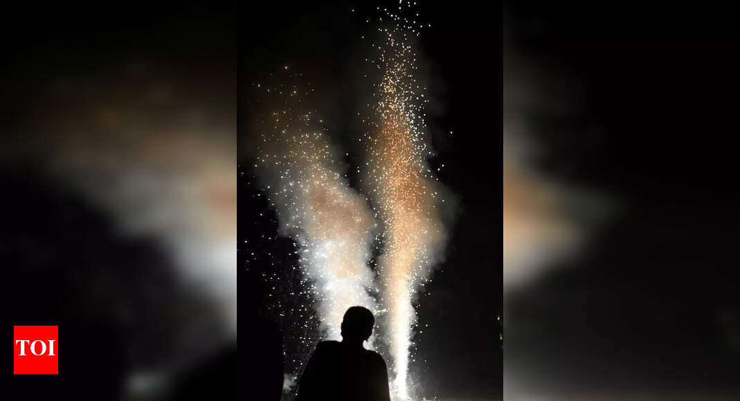 The Times of India - Other - News Image