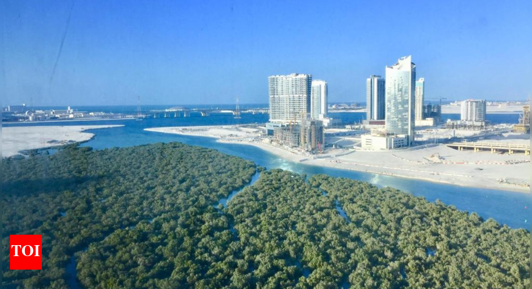 UAE President Sheikh Mohamed orders 20% of Abu Dhabi’s land to be designated as nature reserves