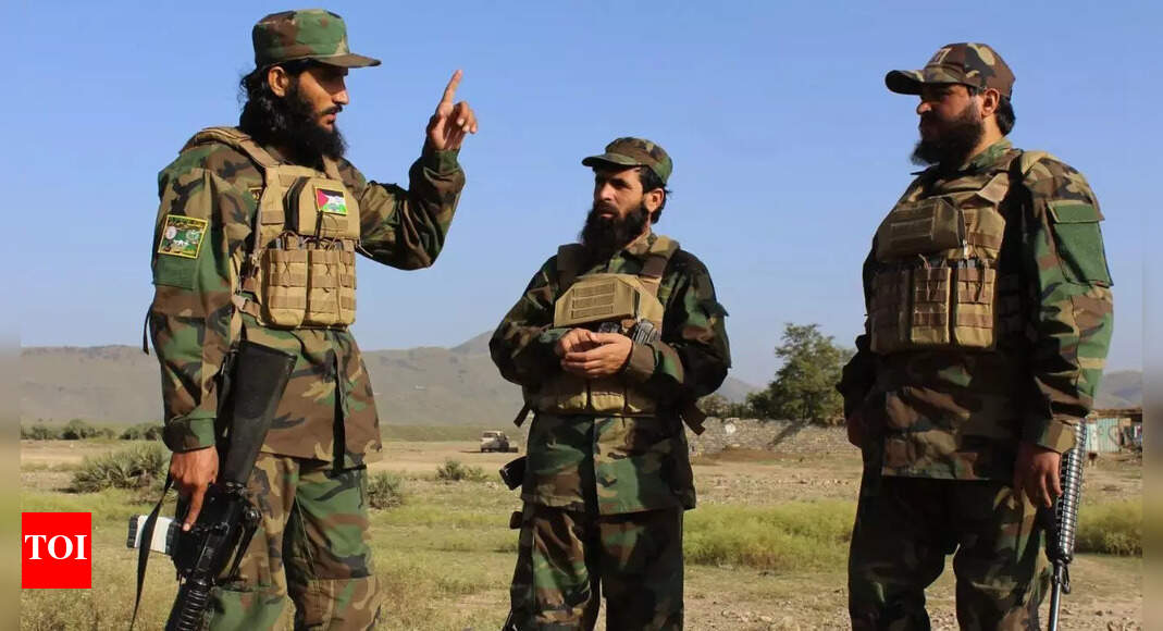 Afghan-Pak conflict: Taliban accuses Islamabad of drone strikes in Kabul Afghan-Pak conflict: Taliban accuses Islamabad of drone strikes in Kabul