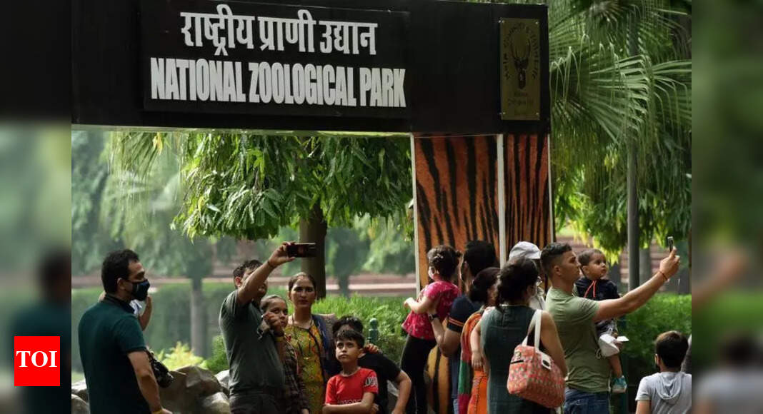 The Times of India - Environment - News Image