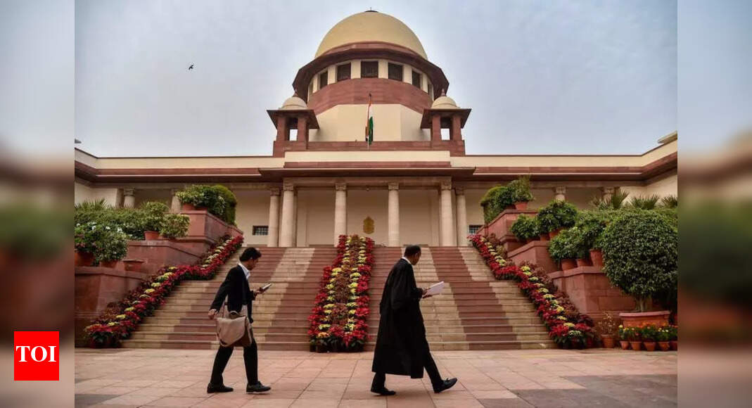 The Times of India - Politics - News Image