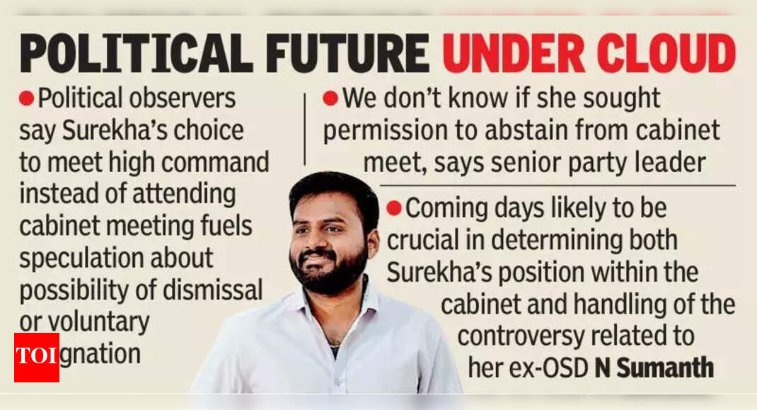 The Times of India - Politics - News Image