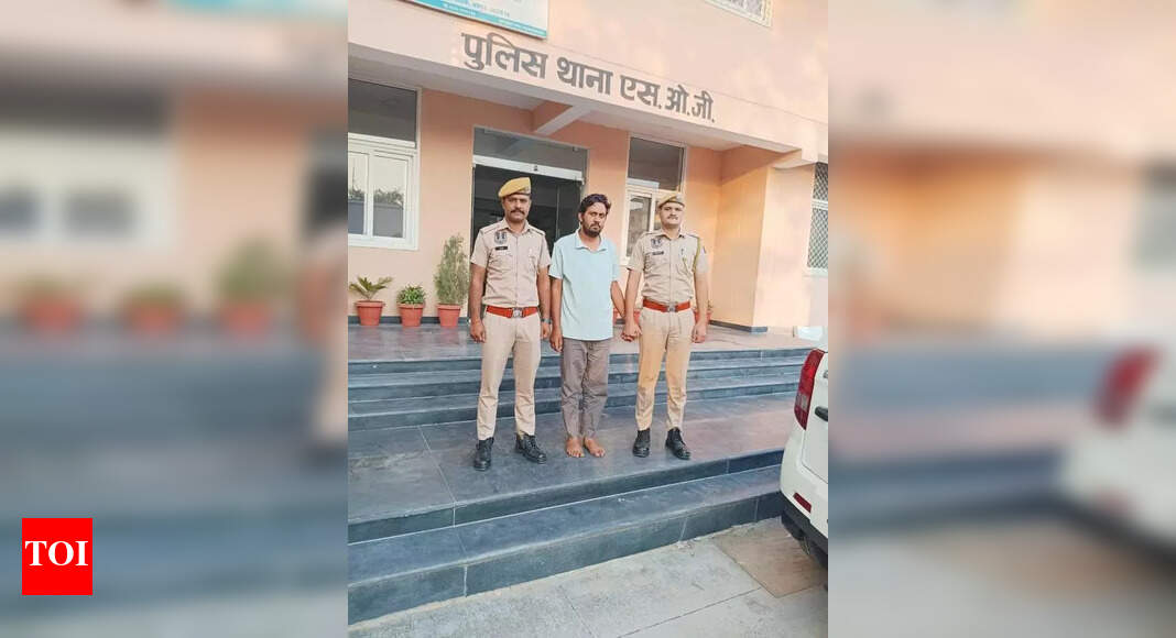 SOG arrests accused in inter-state fake education certificate racket | Jaipur News - The Times of India