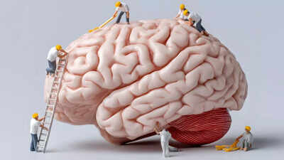 यह याददाश्त तेज़ करने, मस्तिष्क की शक्ति बढ़ाने के लिए प्रति सप्ताह आवश्यक व्यायाम की सटीक मात्रा है