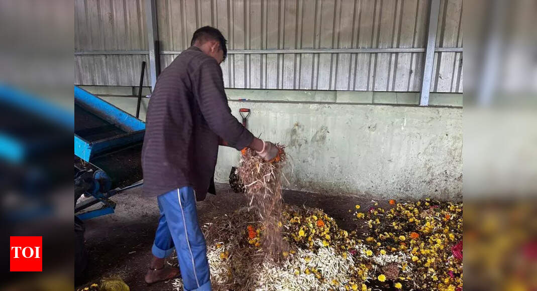 The Times of India - Other - News Image