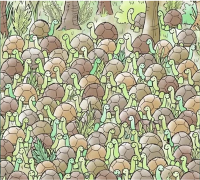 Put your observation skills to the test: In just 9 seconds, spot the hidden snake