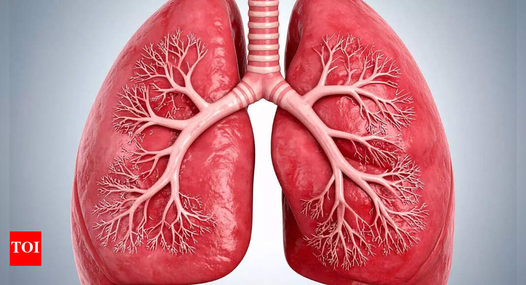 Want healthier lungs? Avoid these 7 everyday foods that damage your respiratory health and make breathing tough