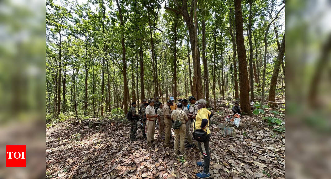 Proposal to create Jarda-Sole-Tamra wildlife sanctuary in Bonai division