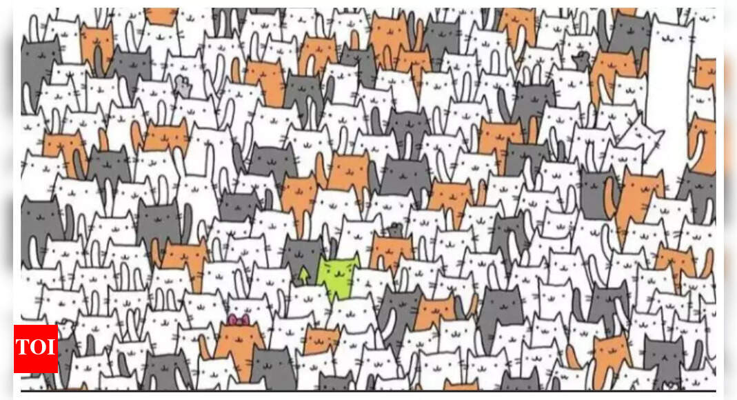 Optical illusion: Can you spot a sneaky bunny hiding amidst the cats?