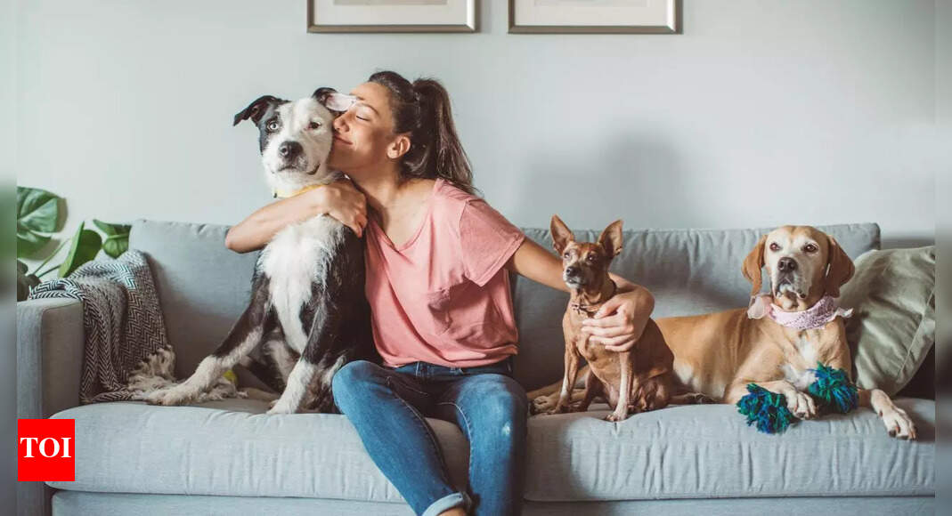 How to remove pet odour from your home naturally: Simple and effective home remedies