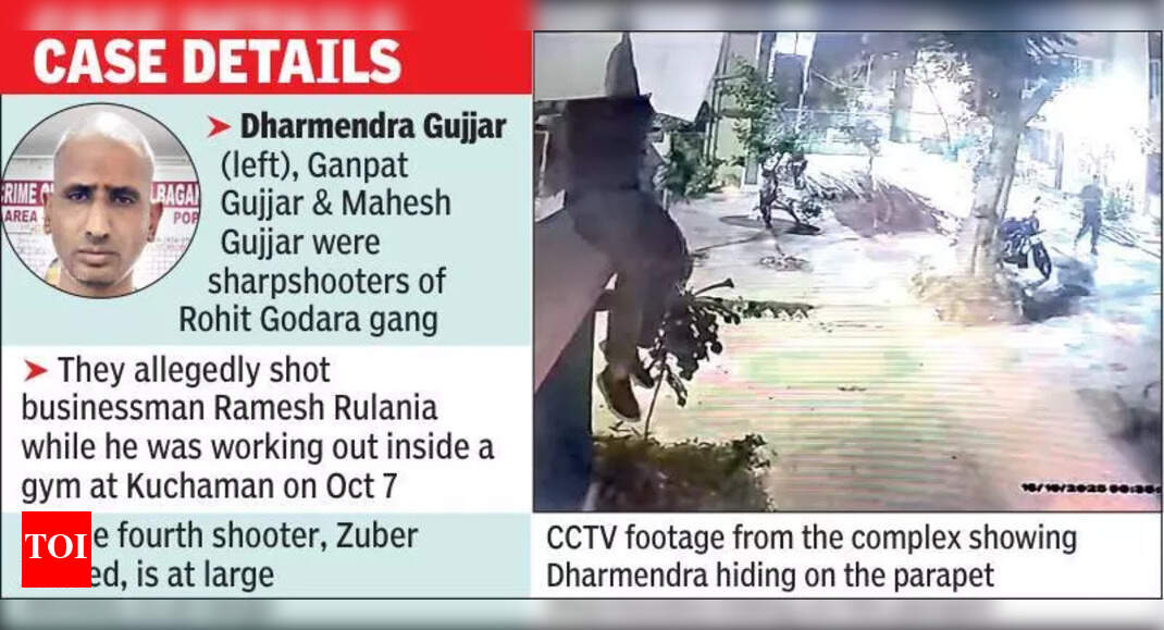 The Times of India - Entertainment - News Image